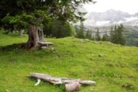 2015-06-25_05Drijaggenalm (208)b.JPG
